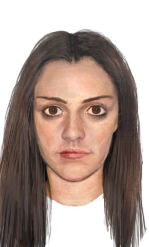 Eastern Suburbs armed robberies female